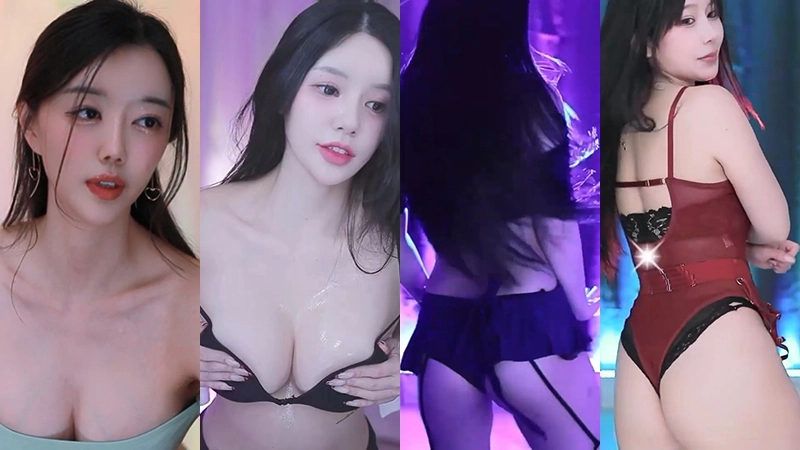 [主播]韩国直播平台Pandatv 2026年1月2日舞蹈剪辑[14V/2.89G]